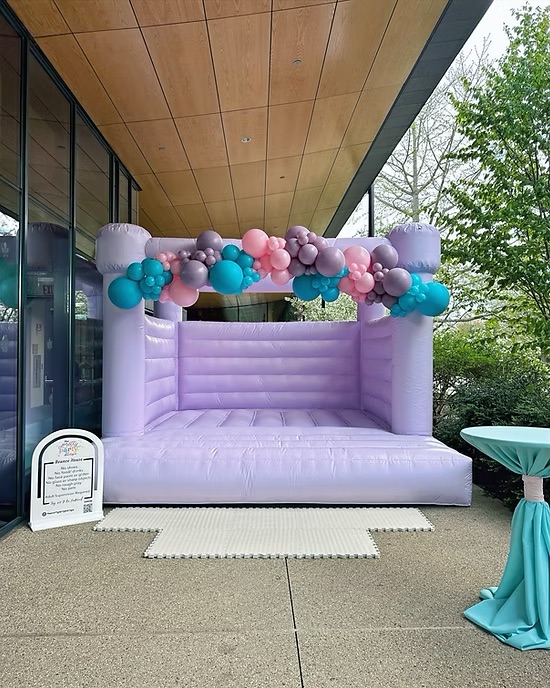 The Pretty Purple Inflatable Bounce House Castle Jumper Rental rental in Warrenville, Illinois - Professional bounce house delivery and setup for birthday parties and events